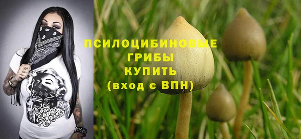 гидропоника Коряжма