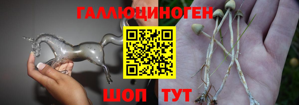 цена   Галлюциногенные грибы Psilocybe  Вход с VPN  Галлюциногенные грибы MAGIC MUSHROOMS  Кореновск 